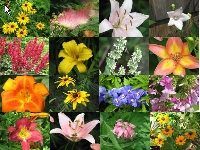 Holy Heck It's Spring Postcard Extravaganza