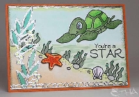 Turtle ATC Swap