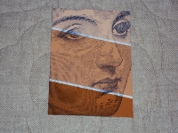 Paint Chip