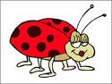 LADYBUG~LADYBUG