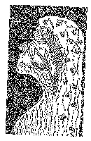 Zentangle Silhouette Portrait 2