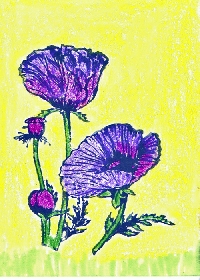 Liquid Sunshine ATC