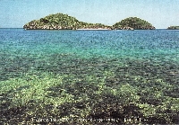 Random Postcard Swap #7