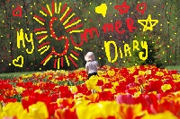 My Summer Diary