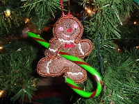 Hang it on the Christmas tree #2