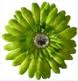 EOTPF ~ Colorburst Swap ~ Lively Lime Green