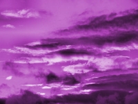 Purple inchie swap