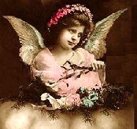 January Things With Wings ATC Swap