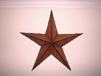 A STAR TO SHINE BRIGHT- US ONLY