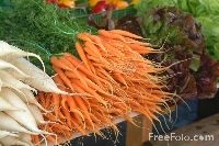 Hand drawn or paint Vegetable ATC