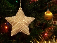 My Holiday Decorations e-swap