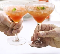 Refreshing Summer Drinks (Alcoholic) by email