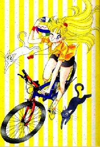 Sailor Soldier ATC - 5. Sailor Venus/Mina