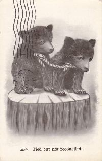 one card one partner