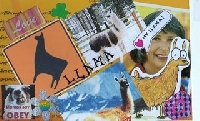 Homemade Postcard Swap