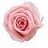 occasiongb6557