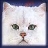 catsmeow