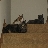 catmomma3