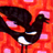 magpie