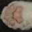 5katzenkaren