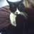 user1355