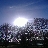 user1369