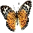 lilysmom1023
