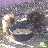 user1460
