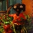catslikedinner