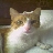 user1485