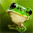 Frogglin