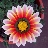 Fiore