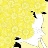 user1594