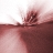 cassiopeia