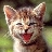 1smileycat