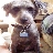 rachellovesdogs