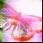 coconut03