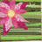 ButtercupsCreations