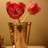 user2077