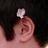 user2145