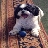 user2148