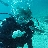 jennydives