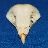 user2227