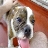 feliperbb