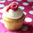 user2445