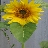 user2573