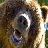 trixbear8