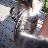 user2734