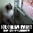 Brittercat