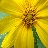 user2971
